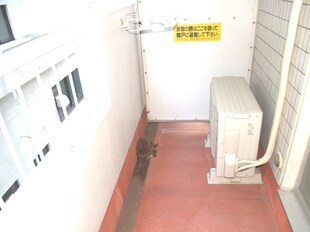 大町西公園駅 徒歩4分 3階の物件内観写真